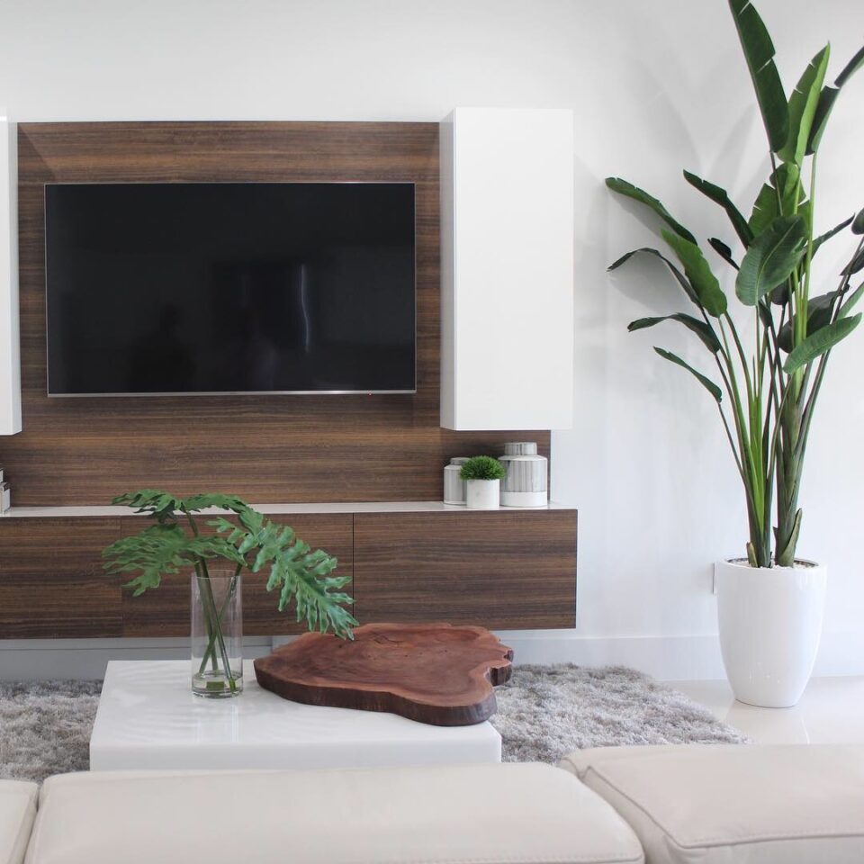 Ave-do-paraíso Ade 2,74 m com vaso Ben em branco brilhante